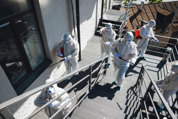 Best Mold Odor Removal Services  in Gray, GA