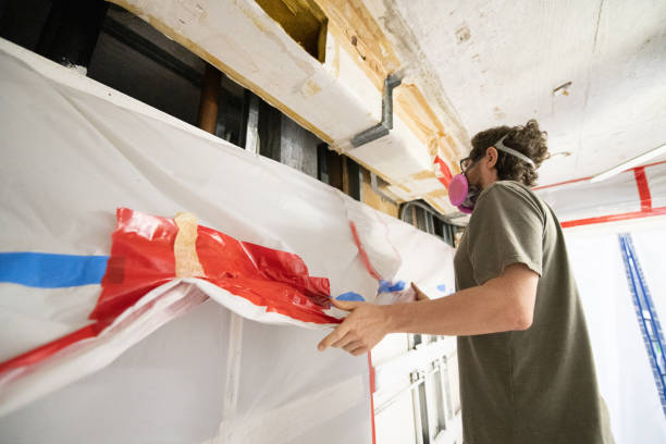 Trusted Gray, GA Mold Removal Experts