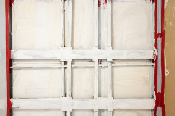 Best Forensic Mold Investigation  in Gray, GA