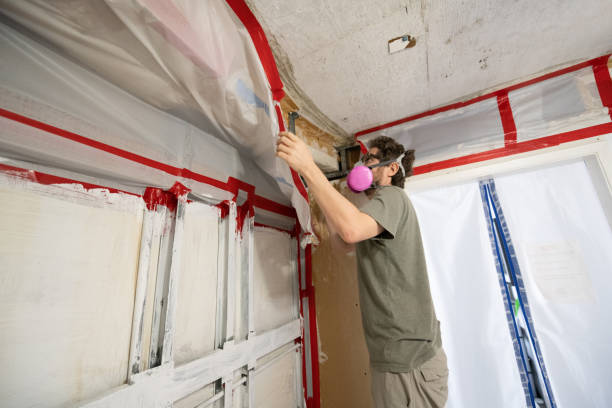 Best Airborne Mold Testing  in Gray, GA